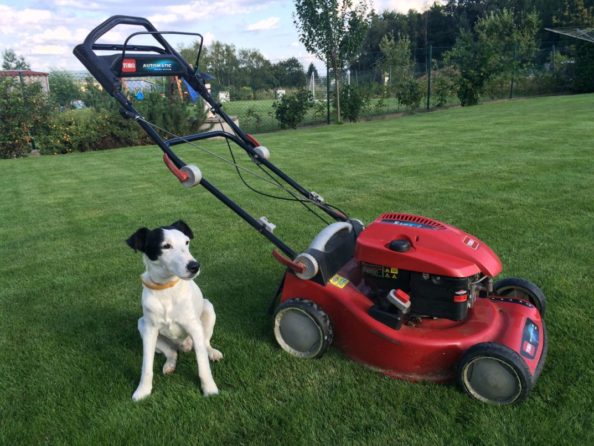 img_5062 Kvlaitní služby pro vaši zahradu